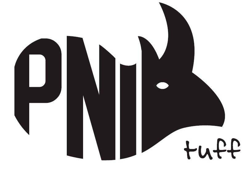 PNI logo